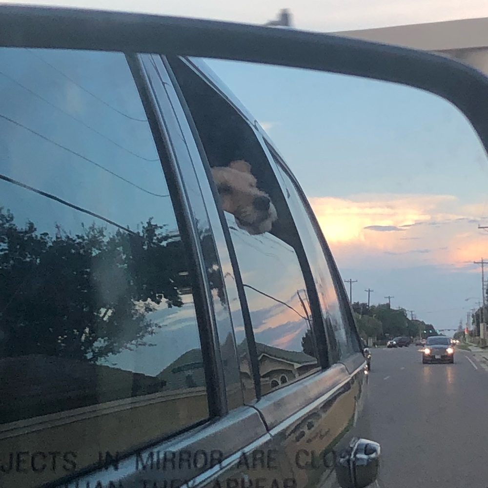 Meet your Posher, Alexxa